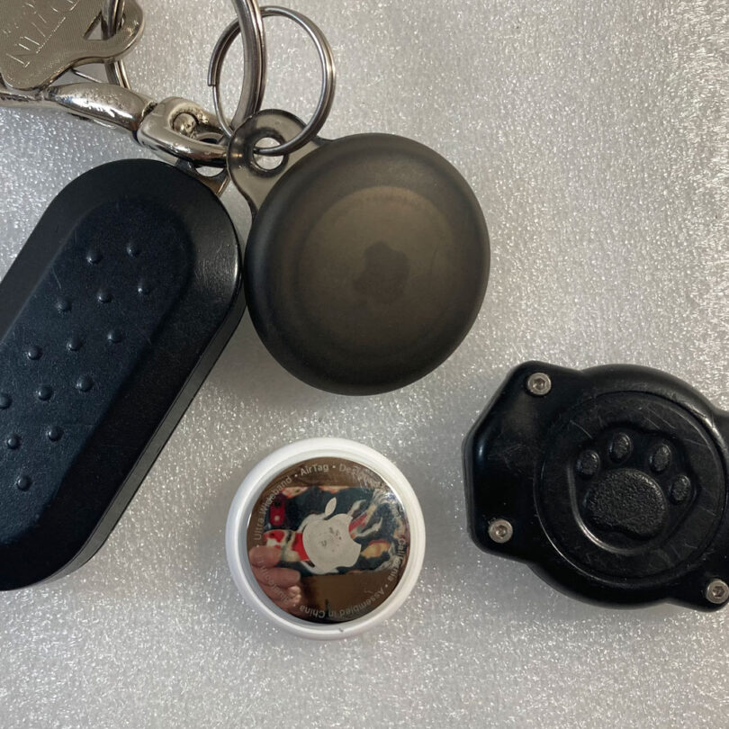 a key chain with a dog paw print watertight case and an Apple AirTag