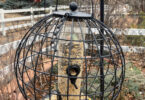 a bird feeder in a cage to keep squirrels out