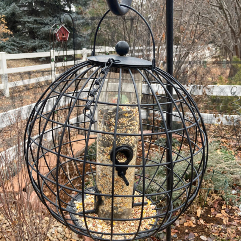 a bird feeder in a cage to keep squirrels out