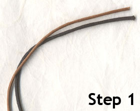 sliding knot tutorial step 1 - two cords
