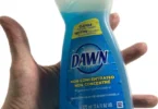 a hand holding a bottle of dawn dishwashing liquid