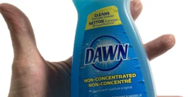 a hand holding a bottle of dawn dishwashing liquid