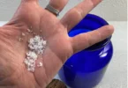 flaky Maldon Salt in palm of hand