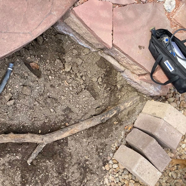 Dremel Multi Max for garden root removal project