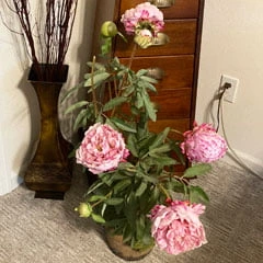 dirty artificial flowers from thrift store