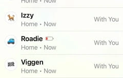 Apple AirTags Find My App screen showing low battery