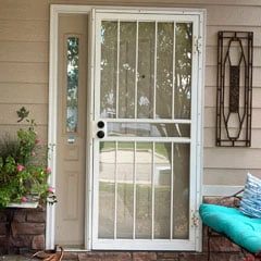 painting your front door before the project