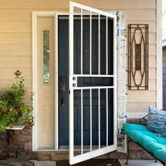 paint my front door security door ready to paint