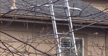 gutter cleaning in the fall ladder